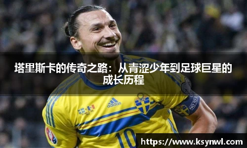 leyu乐鱼官网版